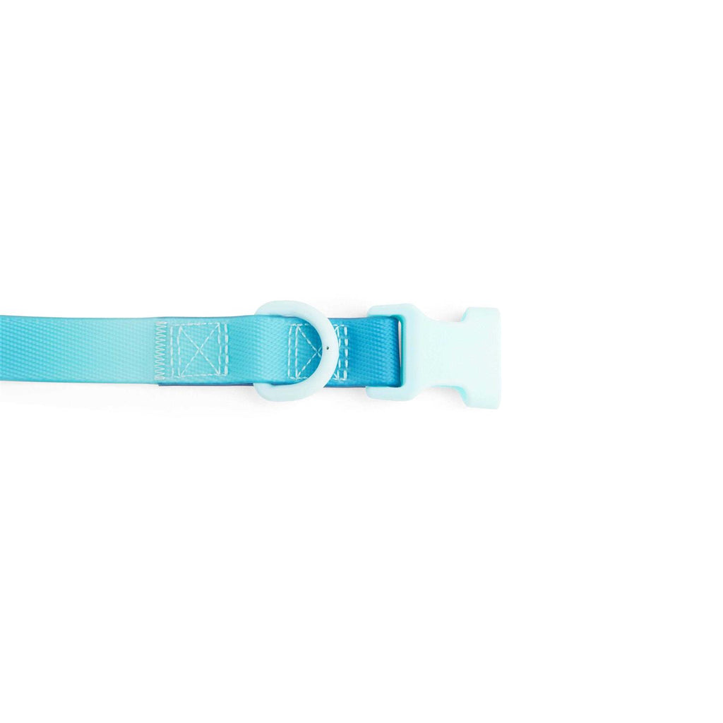 Purple Ombre Wipeable Dog Collar B499069