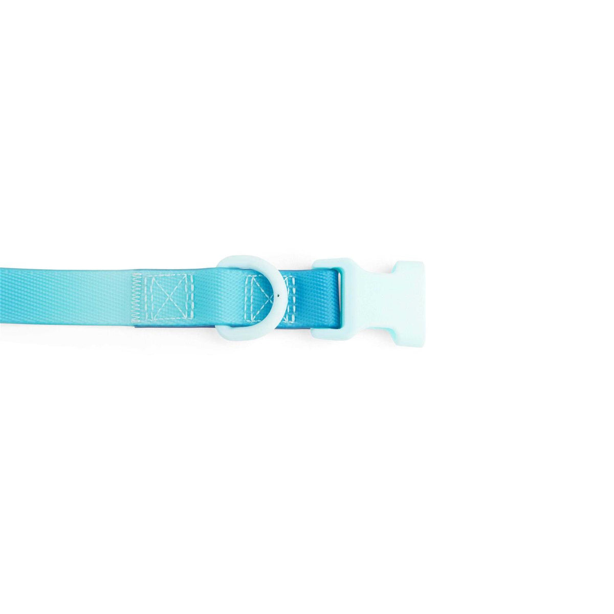 Purple Ombre Wipeable Dog Collar B499069