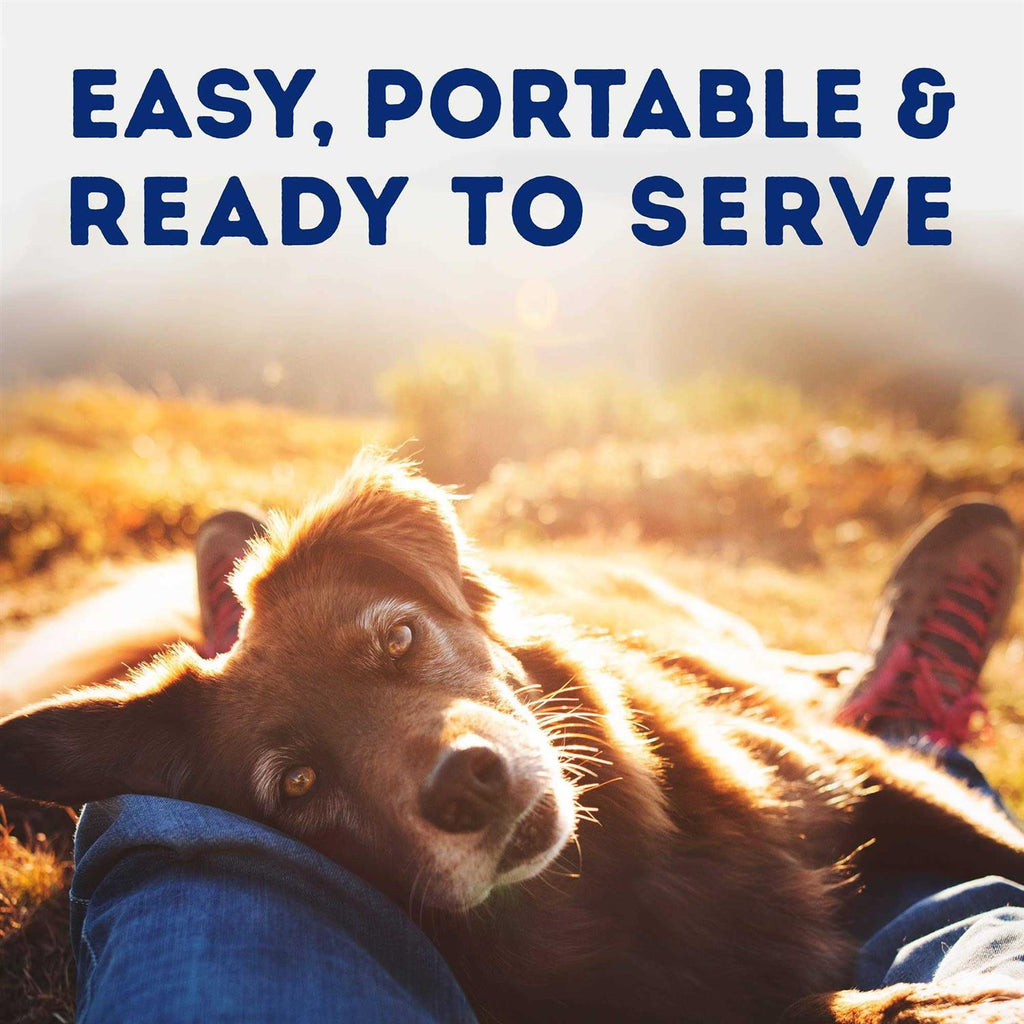 Tender Beef & Potato Recipe Wet Dog Food H5718
