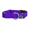 Martingale Dog Collar M605