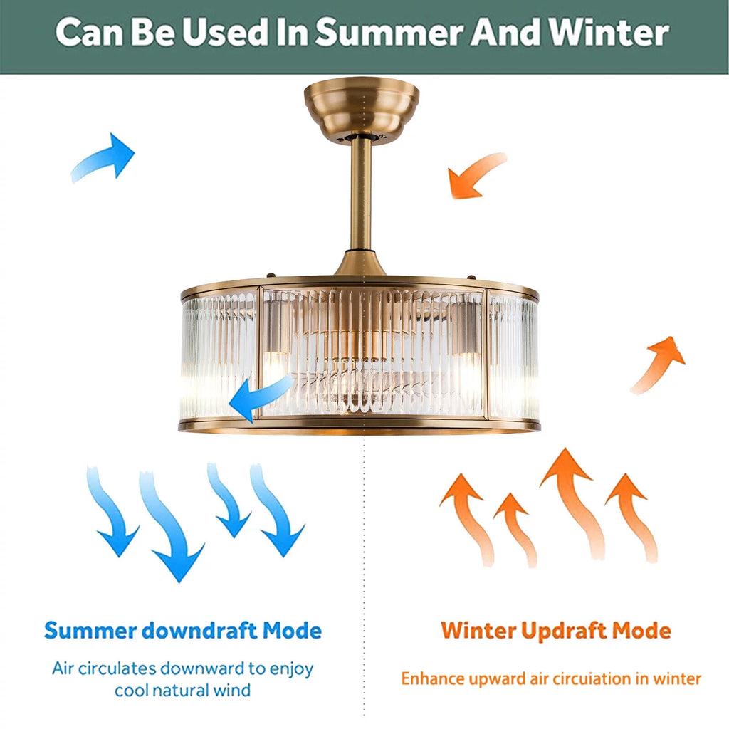 Caged Ceiling Fan Light with Remote X862