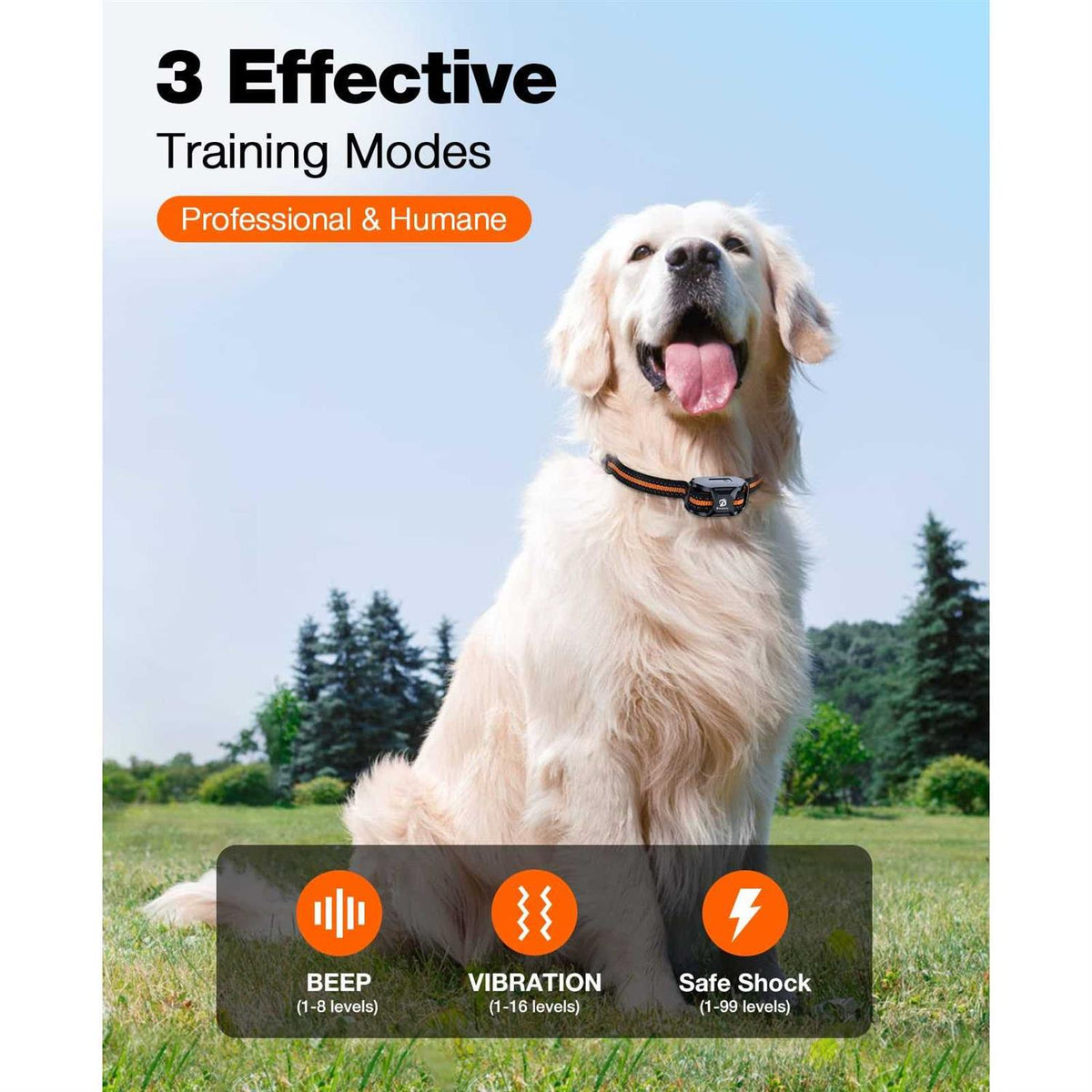 Dog Shock Collar with Remote J9615