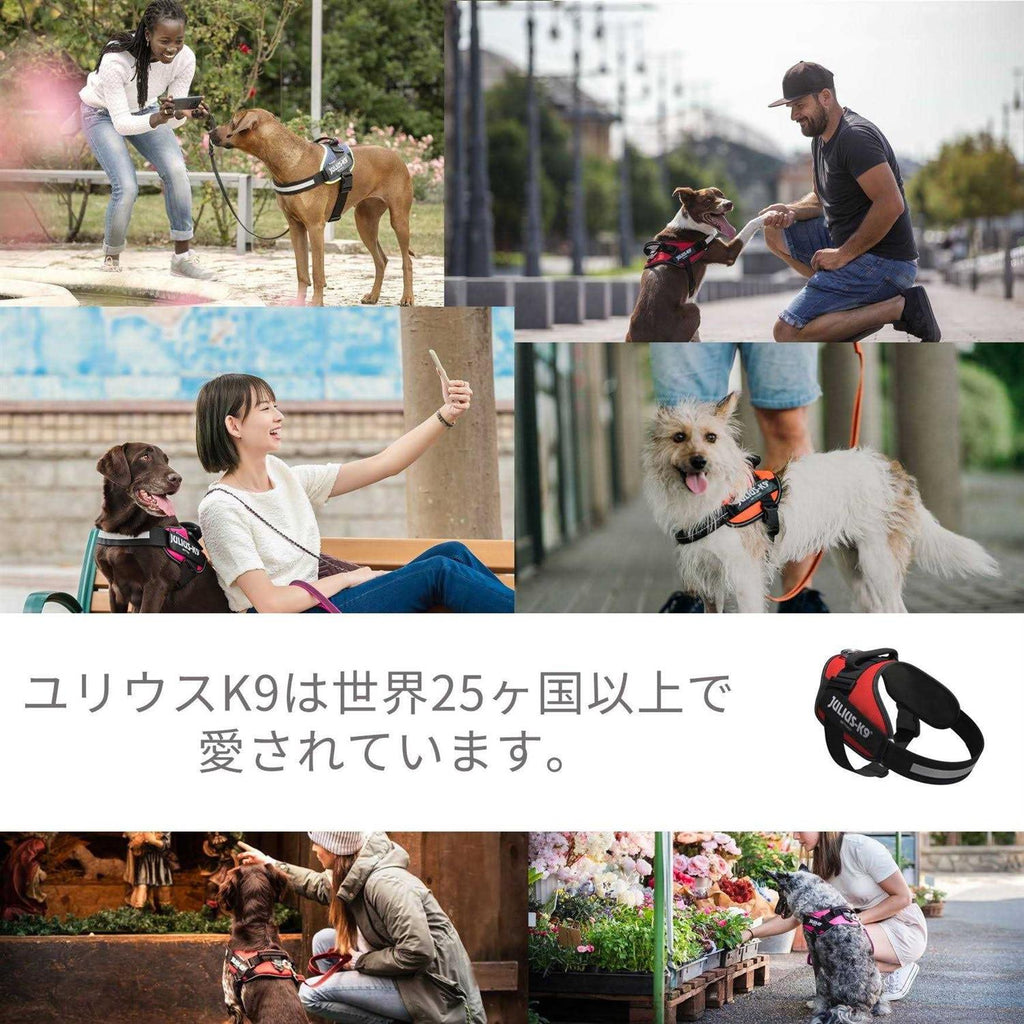 Powerharness X3063