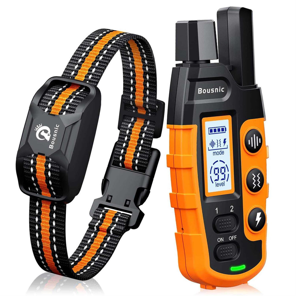 Dog Shock Collar with Remote J9615