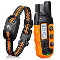 Dog Shock Collar with Remote J9615