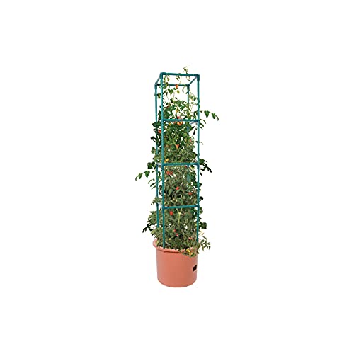 Heavy Duty Tomato Barrel with 4' Tower V96162