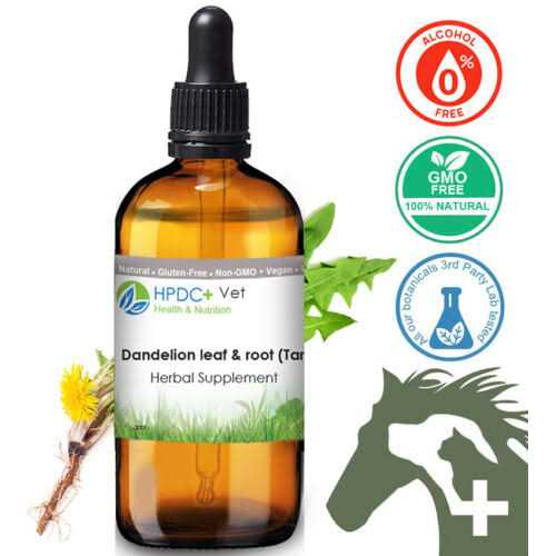 Dandelion Root Cat Liver and Digestive Support S12316