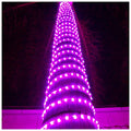 LED Rope Lights Cool White 50 R24443
