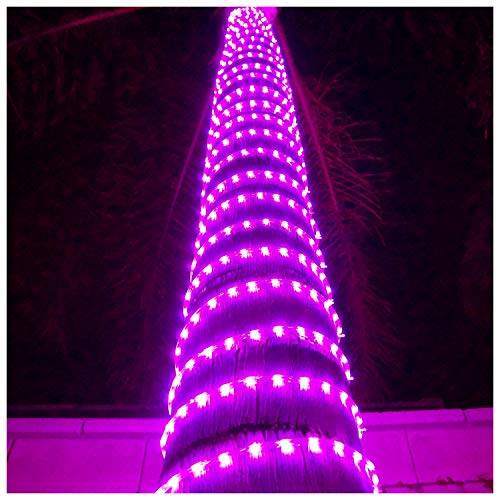 LED Rope Lights Cool White 50 R24443