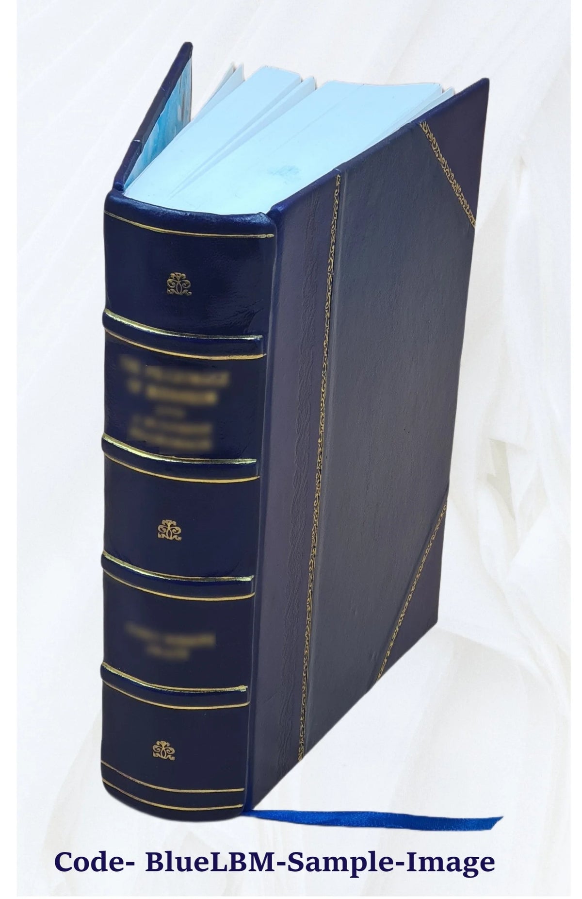 Leather Bound Book I95366