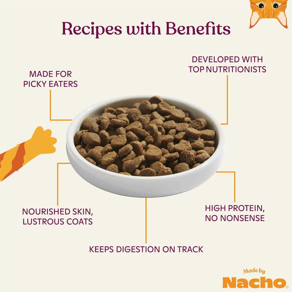 Salmon & Pumpkin Recipe Dry Cat Food B44986