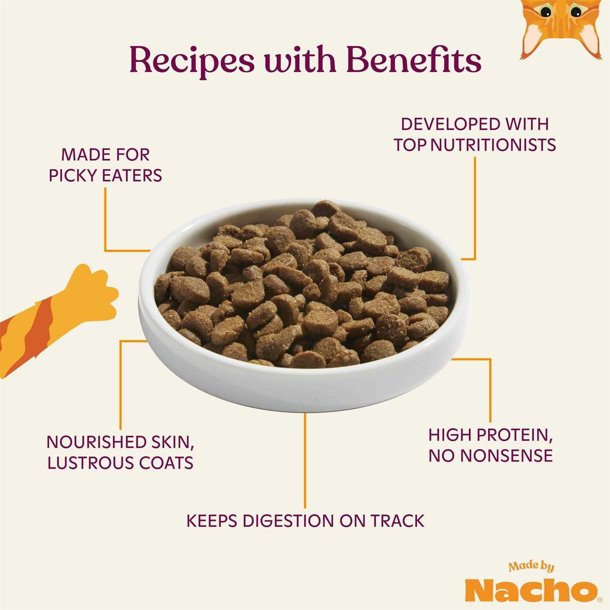 Salmon & Pumpkin Recipe Dry Cat Food B44986