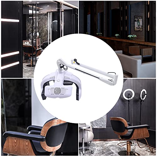 Wall Mounted Hair Dryer with Timer 110V 1250W H60683