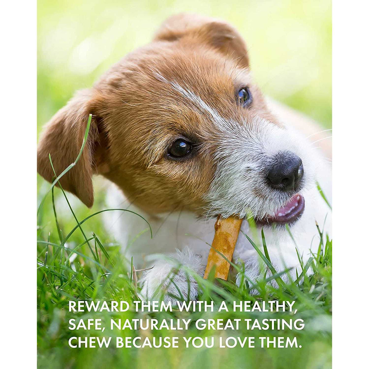 Chicken Recipe Stick Dog Chew R731