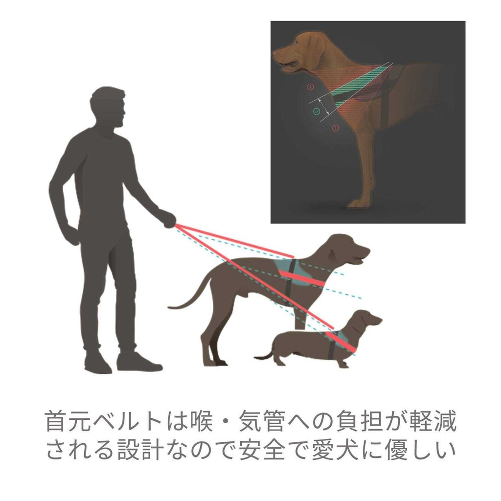 Powerharness X3063