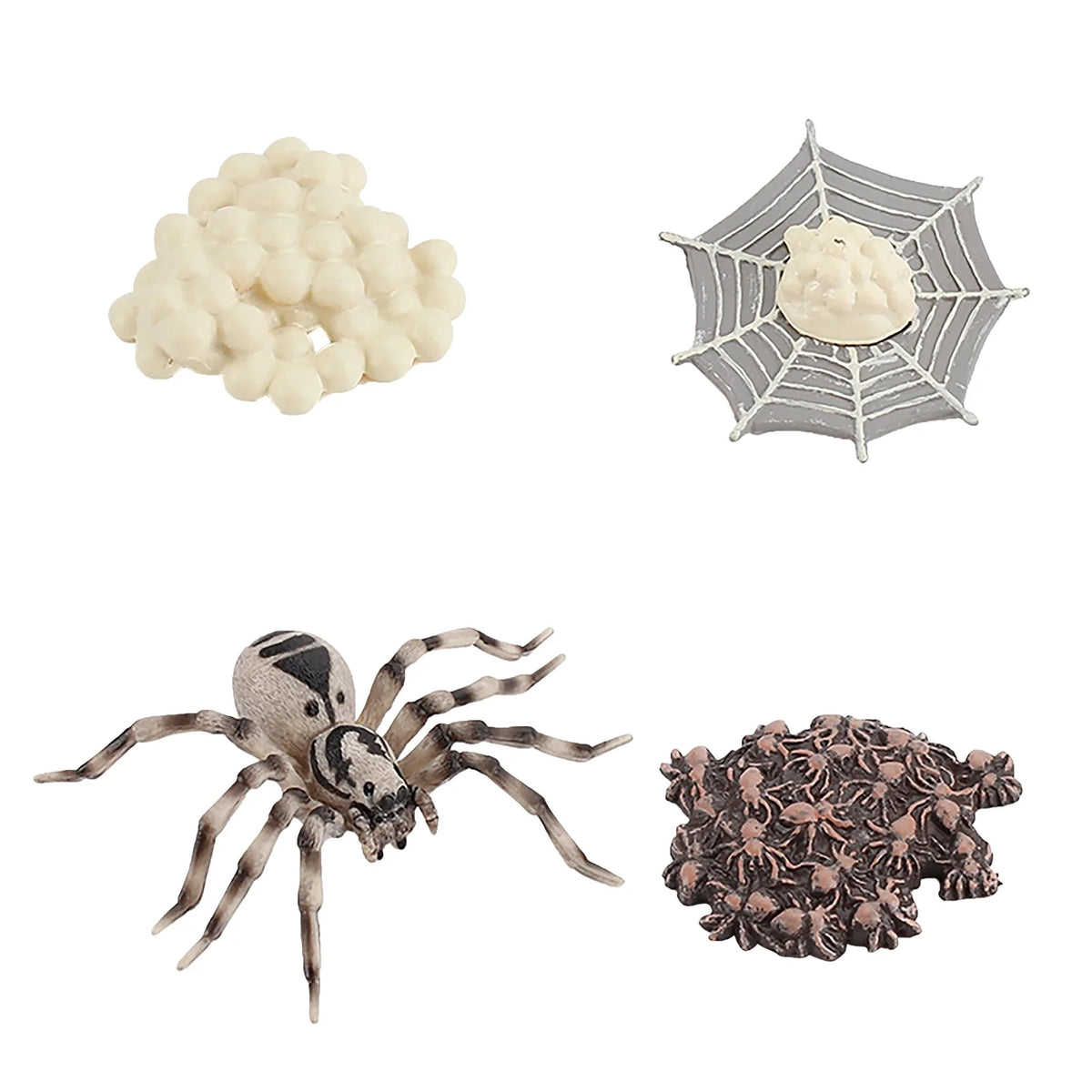 4 Piece Insect Animal Life Cycle Plastic Figures P67317