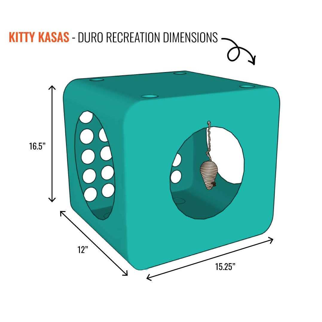 Cat House T25888