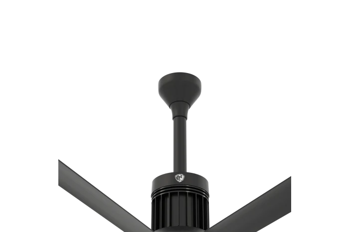 Black Ceiling Fan W7989