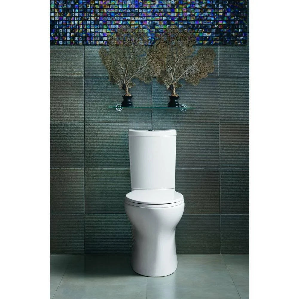 2-Piece Dual Flush Elongated Toilet in White X796