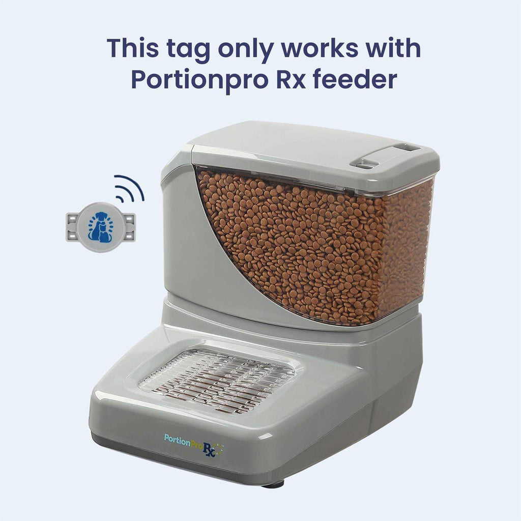 RFID Dog & Cat Collar Tag S2586