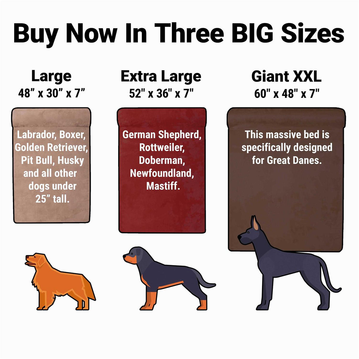 Orthopedic Dog Bed N551