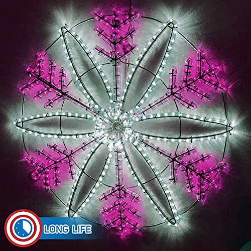 LED Rope Lights Cool White 50 R24443