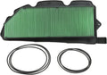 Air Filter Pack of 2 P2516