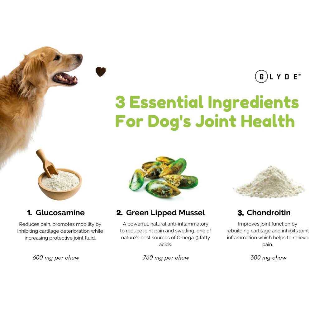 Mobility Chews for Dogs I2043