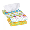 White Two Ply Facial Tissue 80 Boxes S2491
