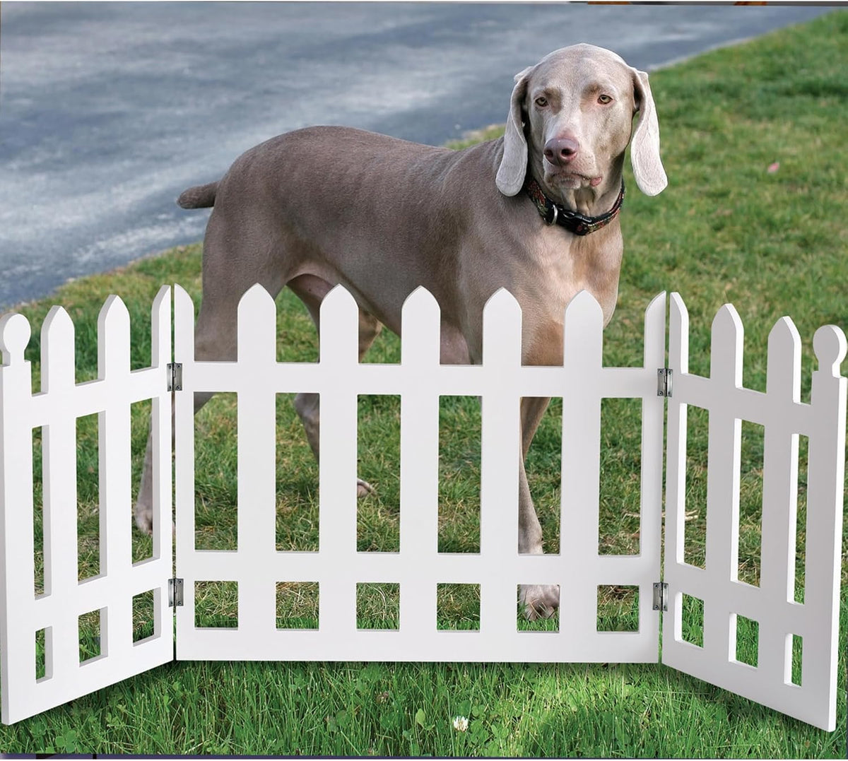 White Picket Fence Folding Pet Gate T375493