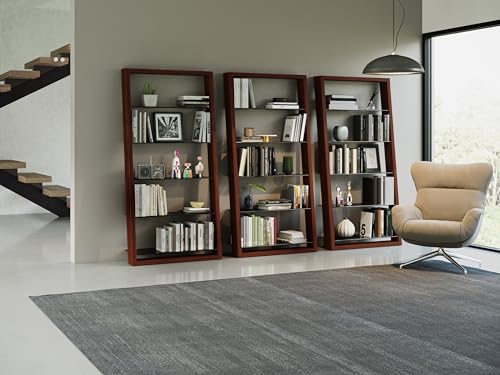 Charcoal Stained Ash Leaning Shelf with 5 Polished Tempered Glass Shelves Z55929