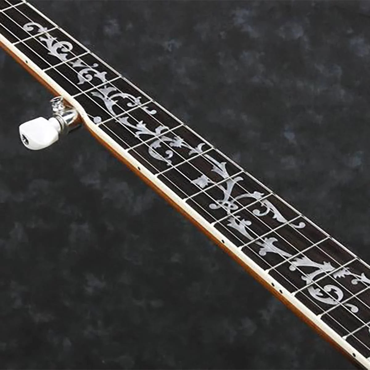 5-String Banjo S654959