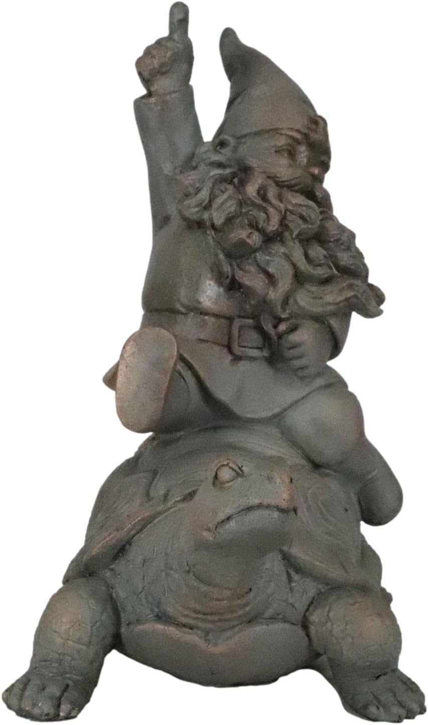 Mr Gnome Sitting On Wild Rodeo Giant Tortoise Figurine P720