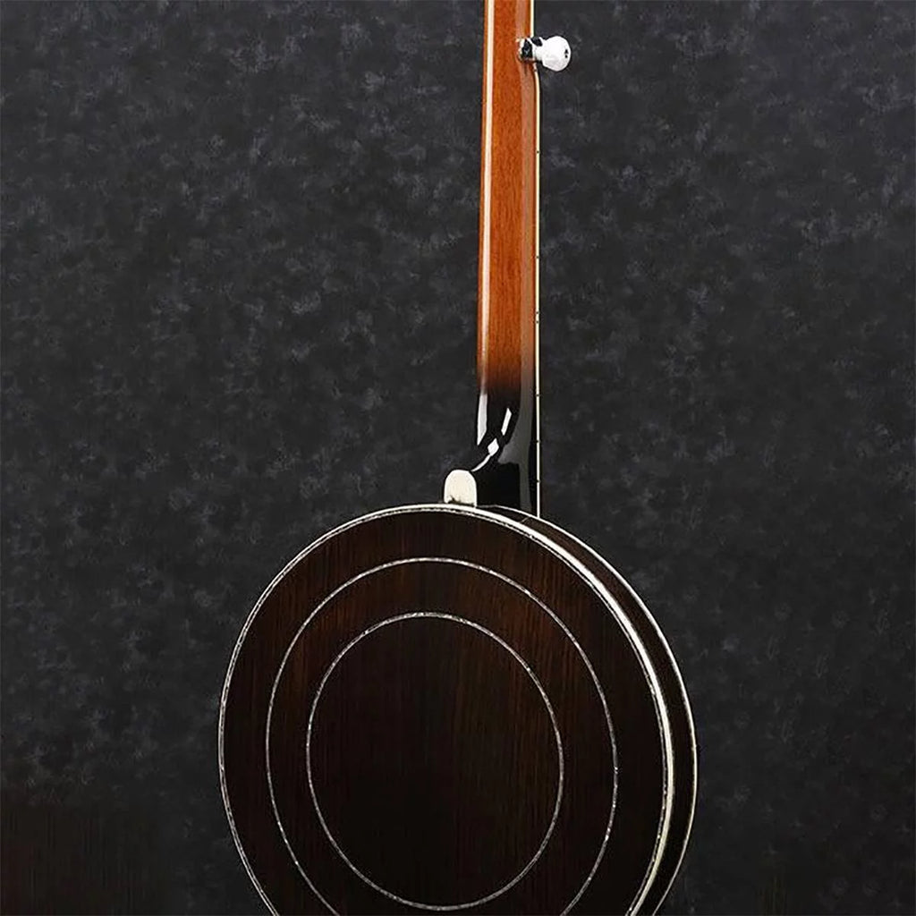 5-String Banjo S654959