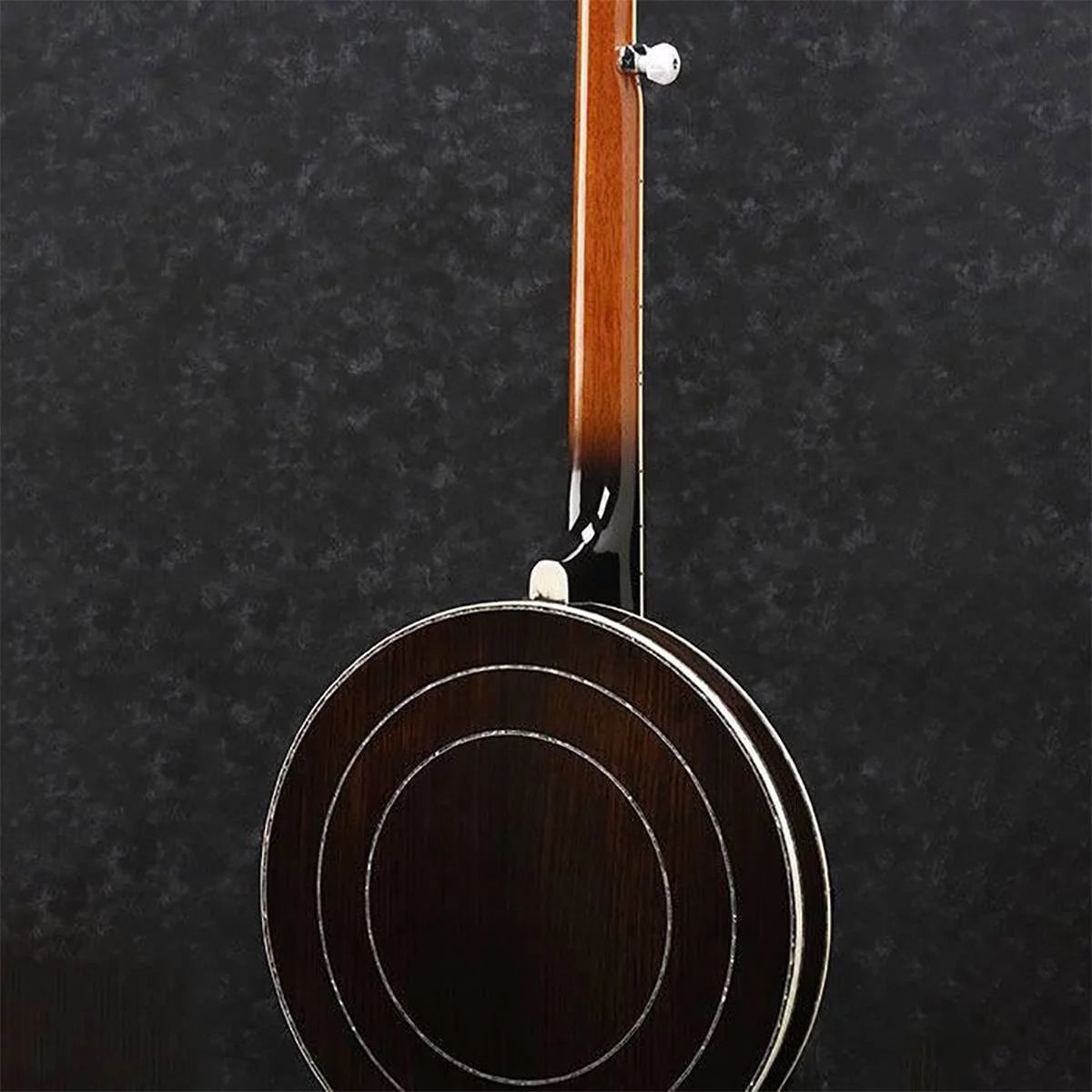 5-String Banjo S654959