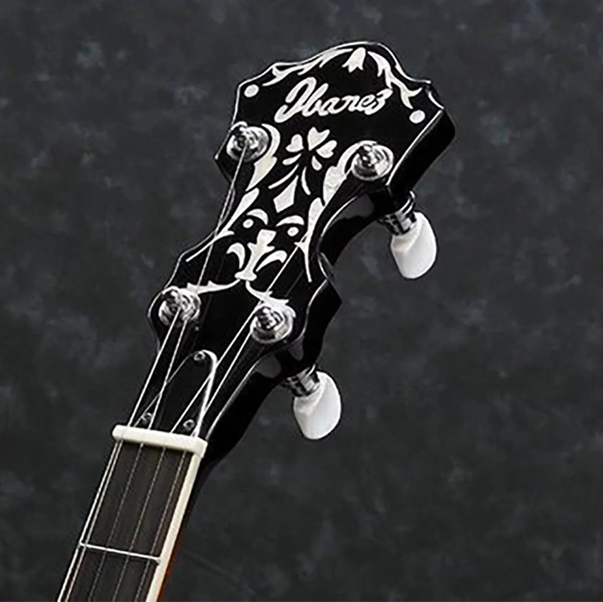 5-String Banjo S654959