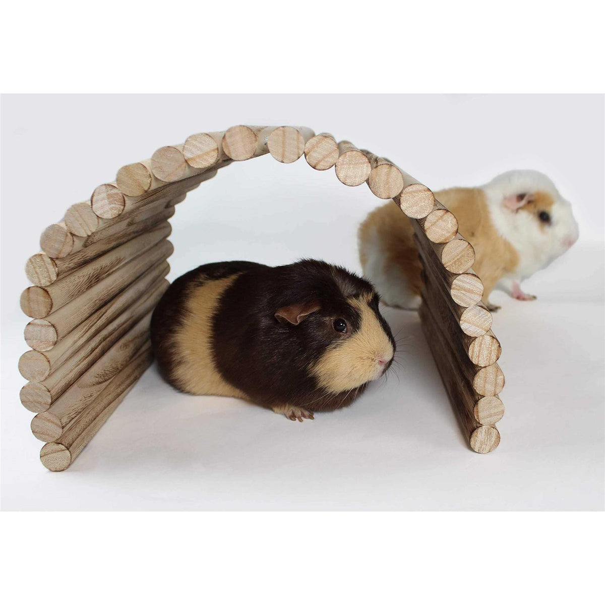Extra Large Wood House Tunnel Ramp U917766