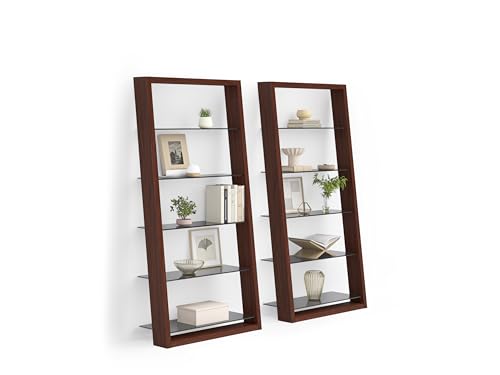 Charcoal Stained Ash Leaning Shelf with 5 Polished Tempered Glass Shelves Z55929