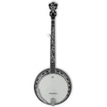 5-String Banjo S654959