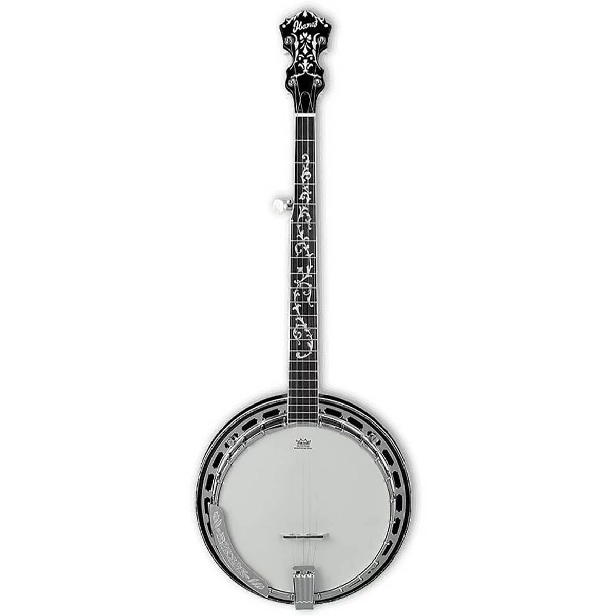 5-String Banjo S654959