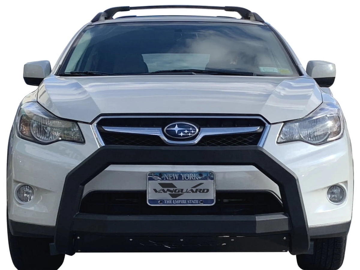 Black Powdercoat Bull Bar with 4.5in Round LED Kit I65231