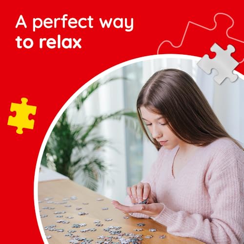 1000 Piece Jigsaw Puzzle B656