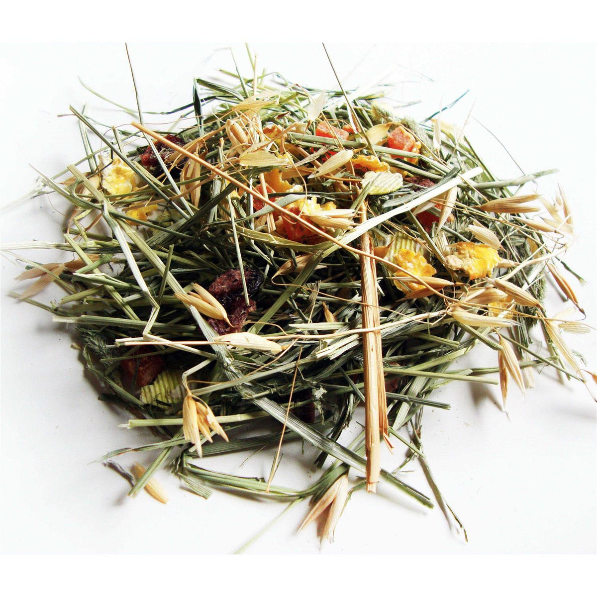 Timothy Hay R528