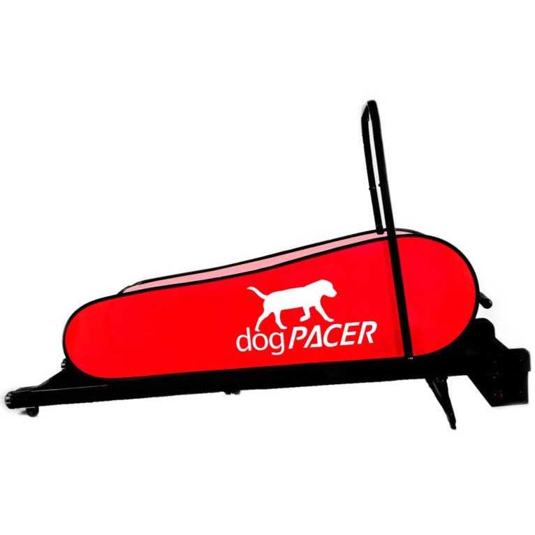 Dog Treadmill U7180