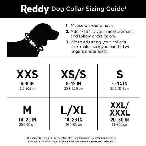 Dog Collar U21911