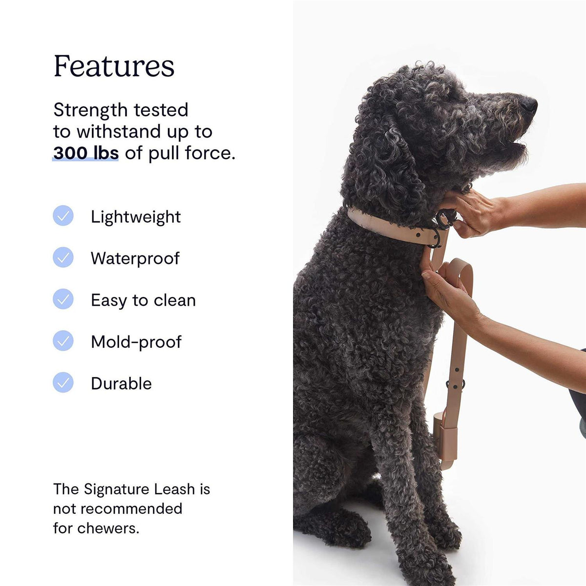 Dog Leash U17599