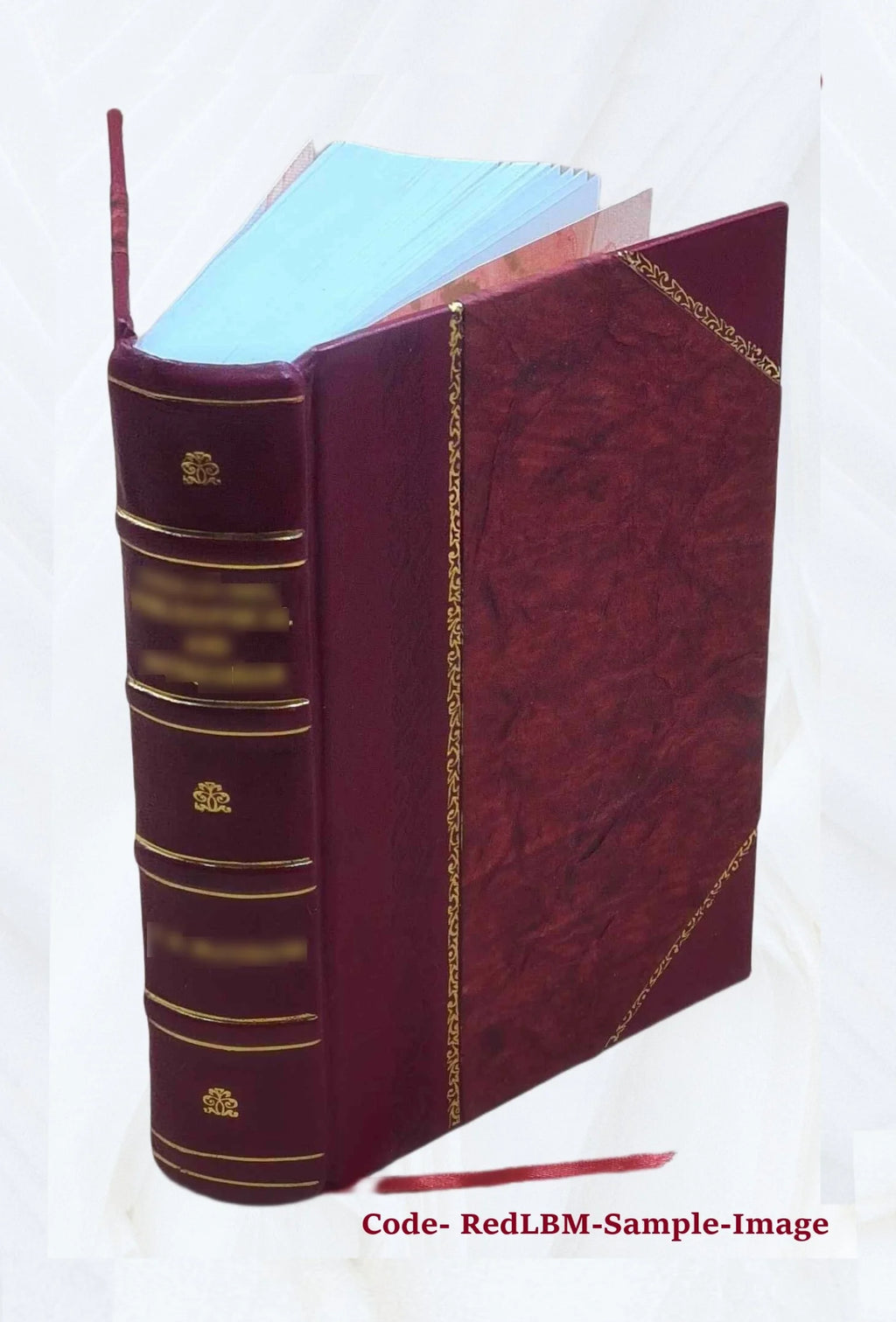 Leather Bound Book I95366