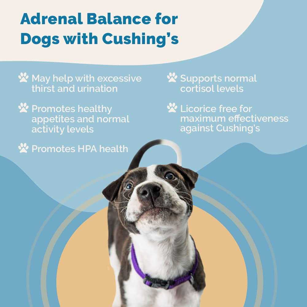 Adrenal Balance for Dogs S221878