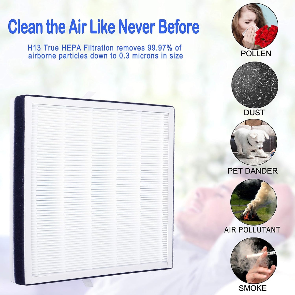 True HEPA Replacement Filter, H13 Grade, 1-Pack Pack of 2 R17244