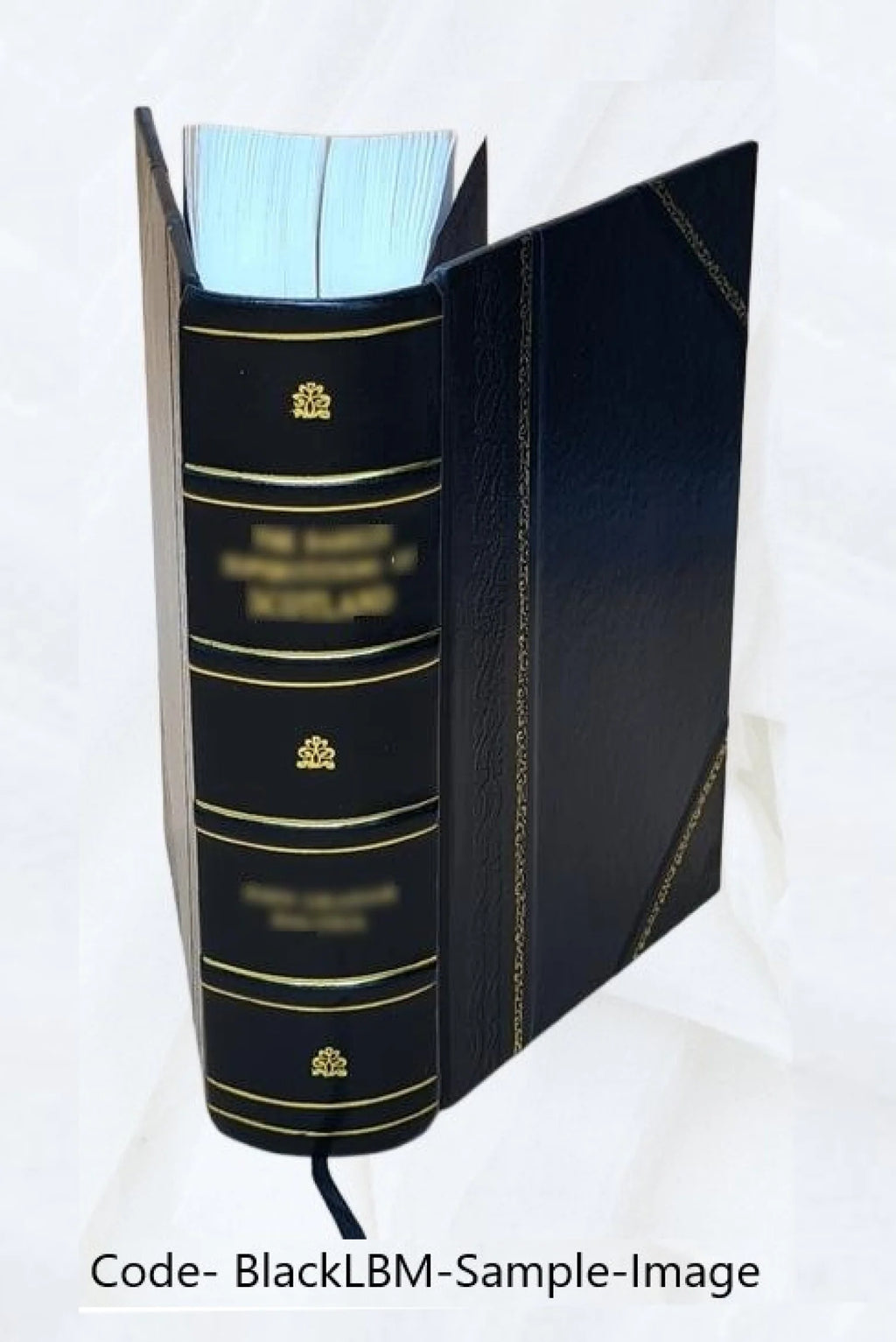 Leather Bound Book I95366